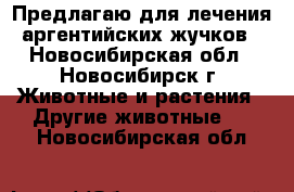 Предлагаю для лечения аргентийских жучков - Новосибирская обл., Новосибирск г. Животные и растения » Другие животные   . Новосибирская обл.